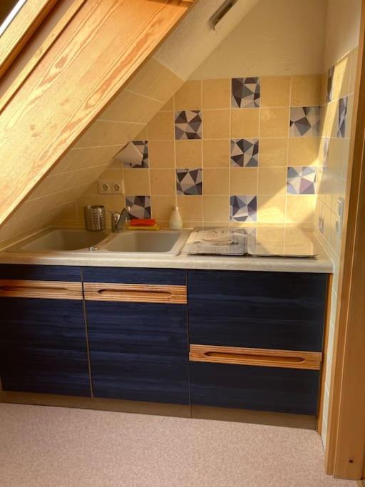 Apartment Mit Ausblick Im Dresdner Suedwesten Dresda Esterno foto
