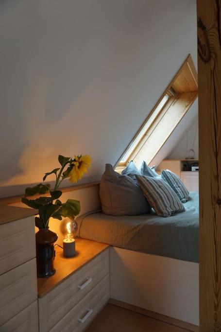 Apartment Mit Ausblick Im Dresdner Suedwesten Dresda Esterno foto