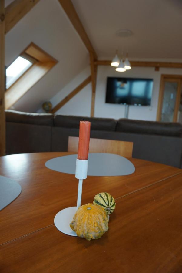 Apartment Mit Ausblick Im Dresdner Suedwesten Dresda Esterno foto
